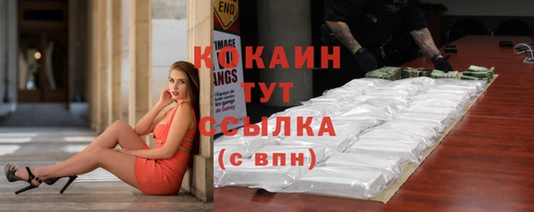 сатива Абинск