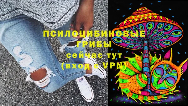 сатива Абинск