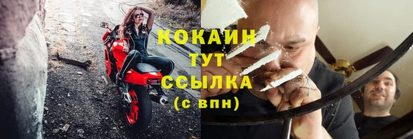 винт Абаза