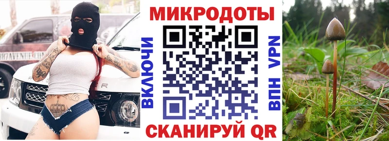 Псилоцибиновые грибы прущие грибы  Татарск 