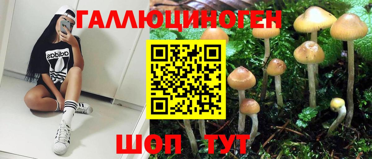 цена наркотик  Псилоцибиновые грибы GOLDEN TEACHER  Вход с VPN  Татарск 